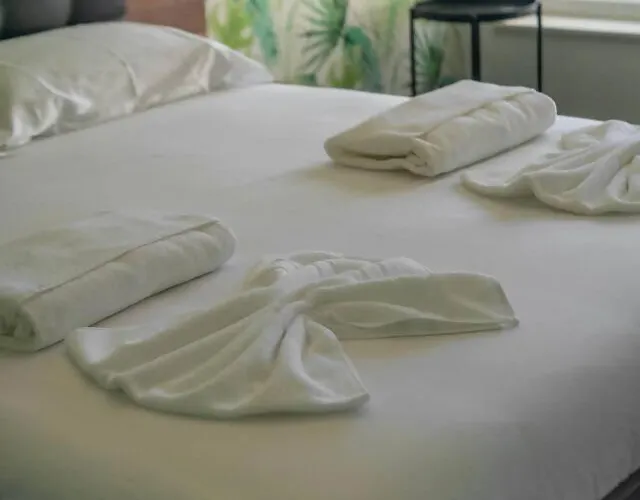 Spacious 2br En Suite, Downtown Daire