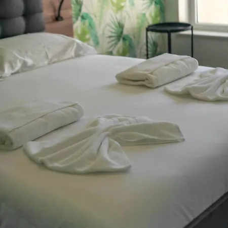 Spacious 2br En Suite, Downtown Appartement